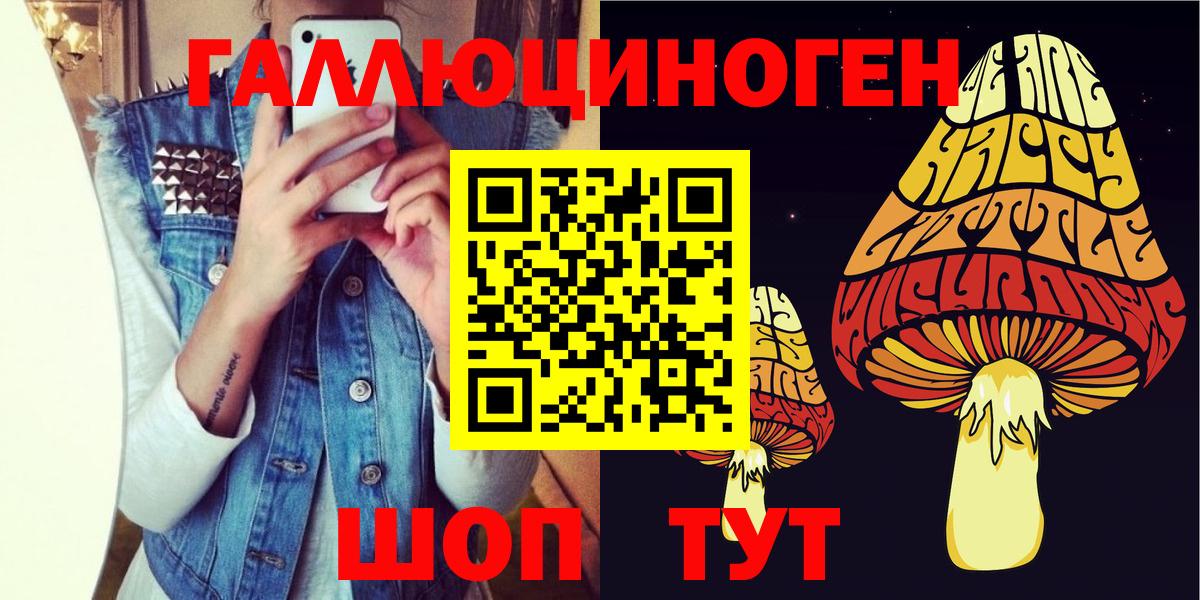 Волжский  Галлюциногенные грибы мицелий  купить   Вход с VPN 